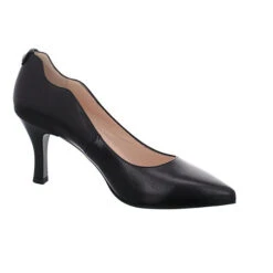 Nero Giardini Damen Pumps Schuhe Pumps Elegant Klassisch Lederkombination Uni Klassische Pumps - Schwarz 15 Nero Giardini Damen Pumps Schuhe Pumps Elegant Klassisch Lederkombination Uni Klassische Pumps - Schwarz -Schuh Rabatt Geschäft 26195678 07